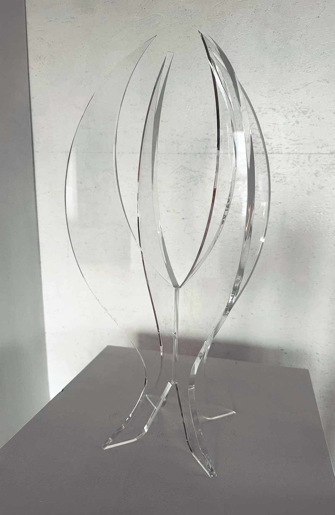 Alexandra-Fischer-Herl-Wachstum-Acrylglas