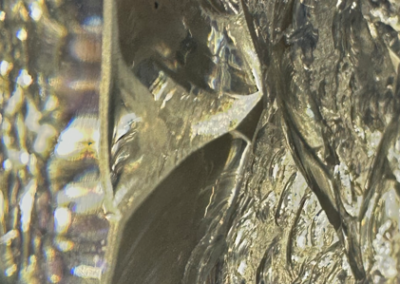 Verwandlung / Transformation