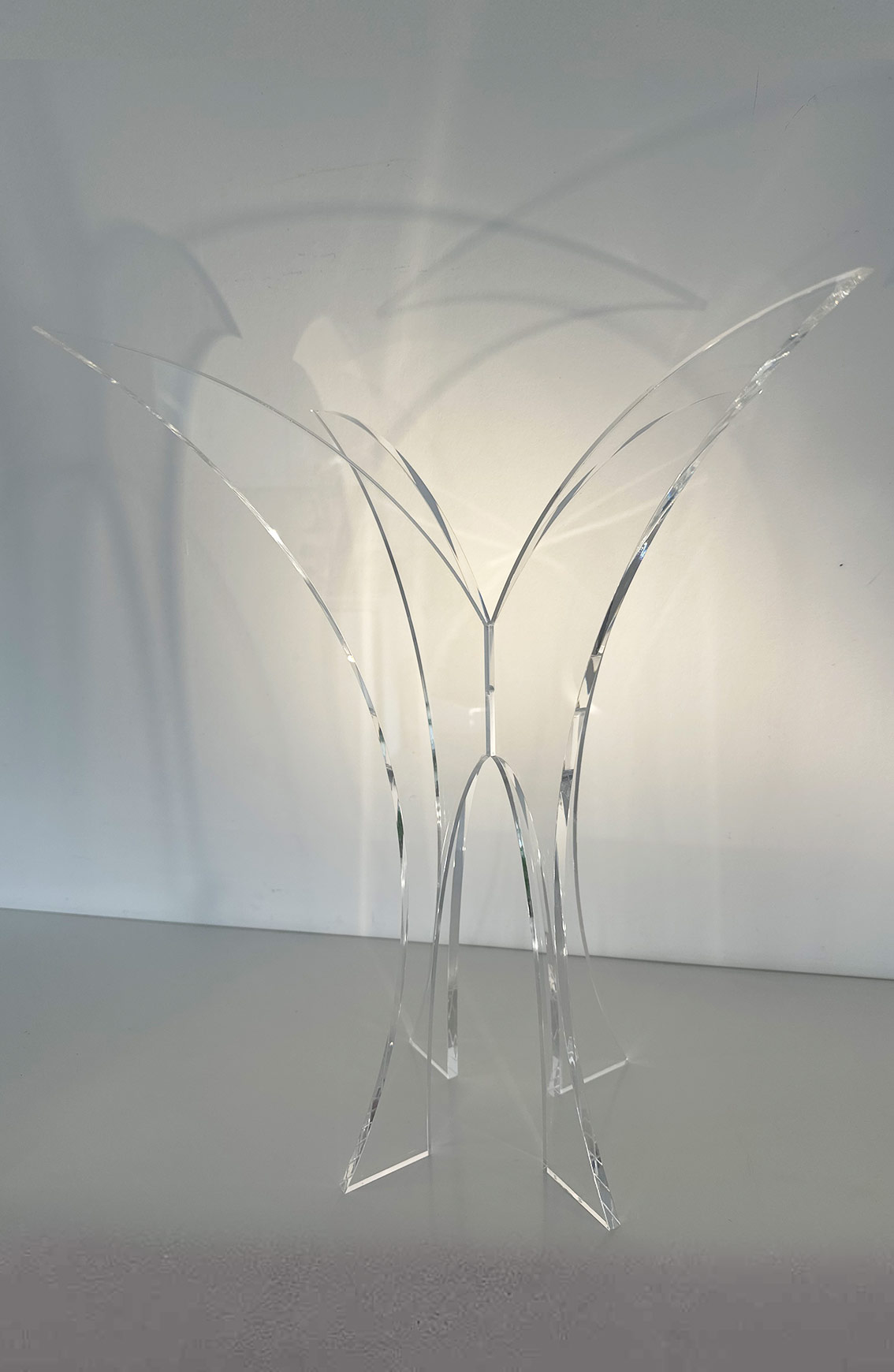 Alexandra-Fischer-Herl-Entfaltung-Acrylglas